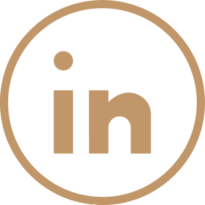 linkedin ikon arkaplansız